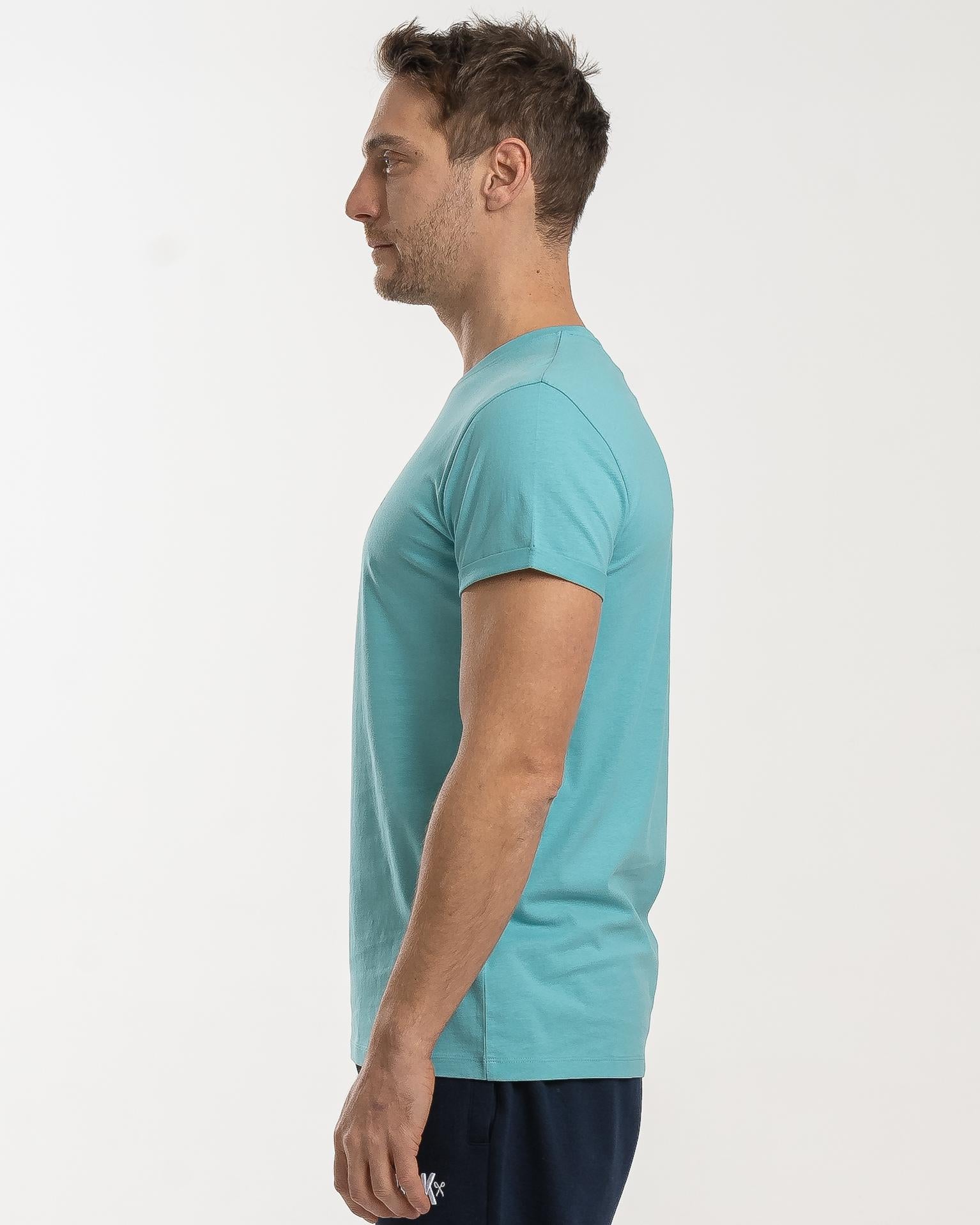 BASIC